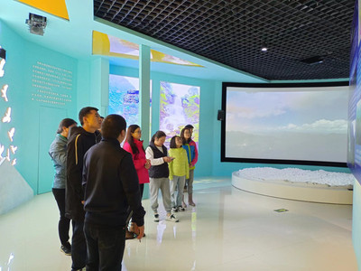 高新服务与展览服务 推动现代经济创新与交流的双引擎